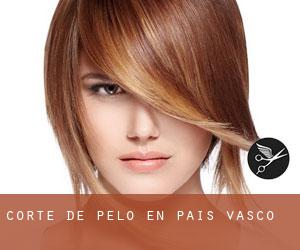 Corte de pelo en País Vasco Corte de pelo en País Vasco