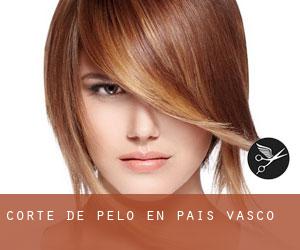 Corte de pelo en País Vasco