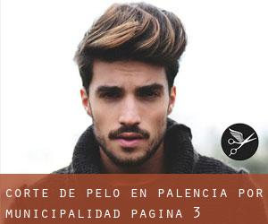 Corte de pelo en Palencia por municipalidad - página 3