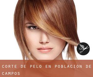 Corte de pelo en Población de Campos