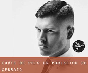 Corte de pelo en Población de Cerrato