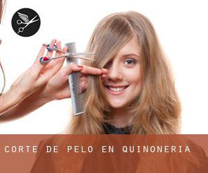 Corte de pelo en Quiñonería