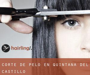Corte de pelo en Quintana del Castillo