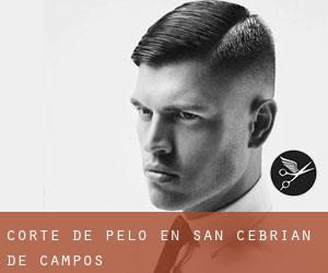 Corte de pelo en San Cebrián de Campos Corte de pelo en San Cebrián de Campos