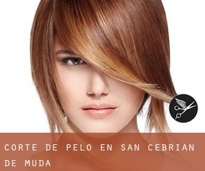 Corte de pelo en San Cebrián de Mudá Corte de pelo en San Cebrián de Mudá