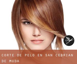 Corte de pelo en San Cebrián de Mudá