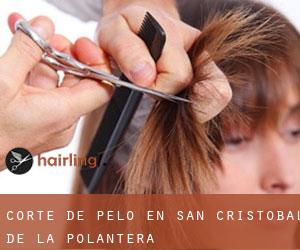 Corte de pelo en San Cristóbal de la Polantera
