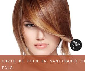 Corte de pelo en Santibáñez de Ecla Corte de pelo en Santibáñez de Ecla