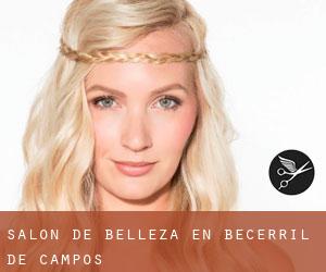 Salón de belleza en Becerril de Campos Salón de belleza en Becerril de Campos