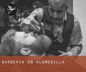 Barbería en Alamedilla