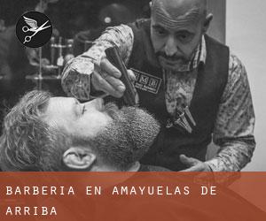 Barbería en Amayuelas de Arriba