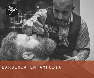 Barbería en Ampudia Barbería en Ampudia