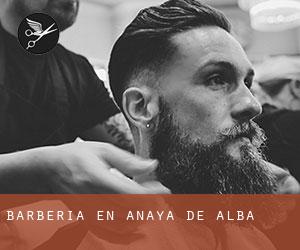 Barbería en Anaya de Alba