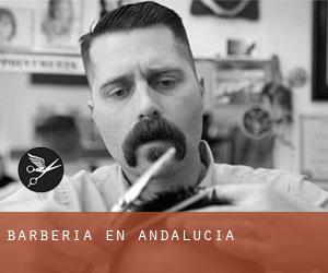 Barbería en Andalucía