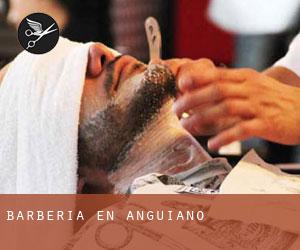 Barbería en Anguiano