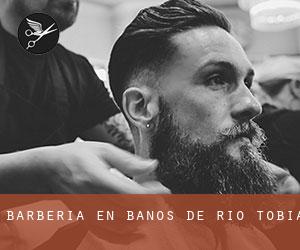 Barbería en Baños de Río Tobía