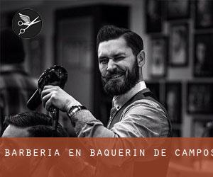 Barbería en Baquerín de Campos Barbería en Baquerín de Campos