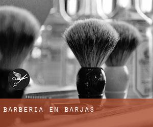 Barbería en Barjas