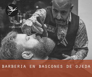 Barbería en Báscones de Ojeda