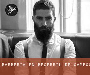 Barbería en Becerril de Campos Barbería en Becerril de Campos