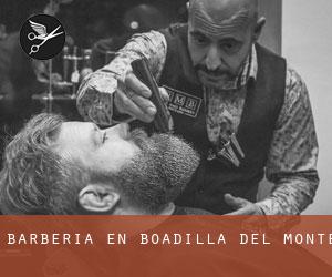 Barbería en Boadilla del Monte Barbería en Boadilla del Monte