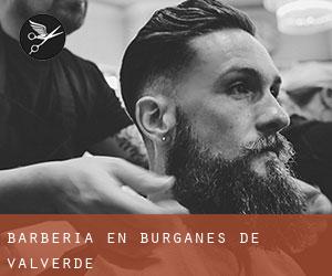 Barbería en Burganes de Valverde