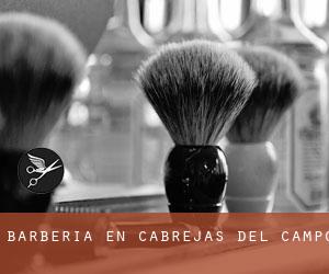 Barbería en Cabrejas del Campo Barbería en Cabrejas del Campo