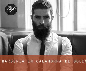 Barbería en Calahorra de Boedo