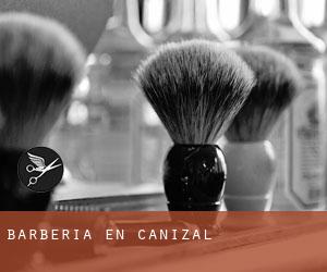 Barbería en Cañizal