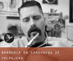 Barbería en Cardeñosa de Volpejera