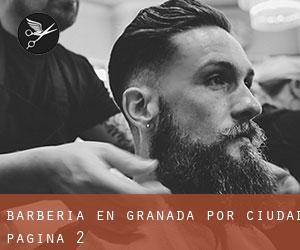Barbería en Granada por ciudad - página 2