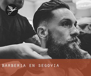 Barbería en Segovia Barbería en Segovia