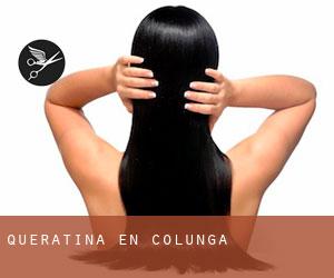 Queratina en Colunga