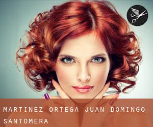 Martinez Ortega Juan Domingo (Santomera)