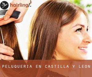 peluquería en Castilla y León