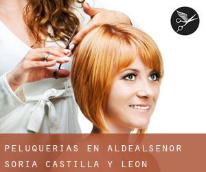 peluquerías en Aldealseñor (Soria, Castilla y León)
