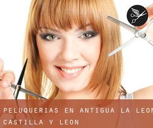 peluquerías en Antigua (La) (León, Castilla y León)