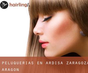peluquerías en Ardisa (Zaragoza, Aragón) peluquerías en Ardisa (Zaragoza, Aragón)