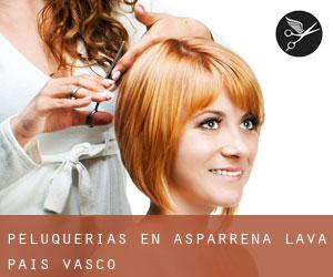 peluquerías en Asparrena (Álava, País Vasco)