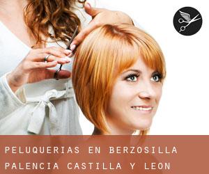 peluquerías en Berzosilla (Palencia, Castilla y León) peluquerías en Berzosilla (Palencia, Castilla y León)
