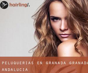 peluquerías en Granada (Granada, Andalucía) peluquerías en Granada (Granada, Andalucía)