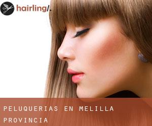 peluquerías en Melilla (Provincia)