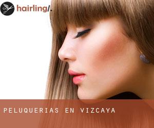 peluquerías en Vizcaya peluquerías en Vizcaya